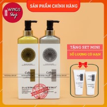 Cặp Dầu Gội Xả Collagen Vinge 1000ml