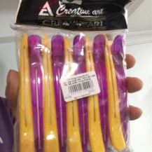 Kẹp vịt creative art